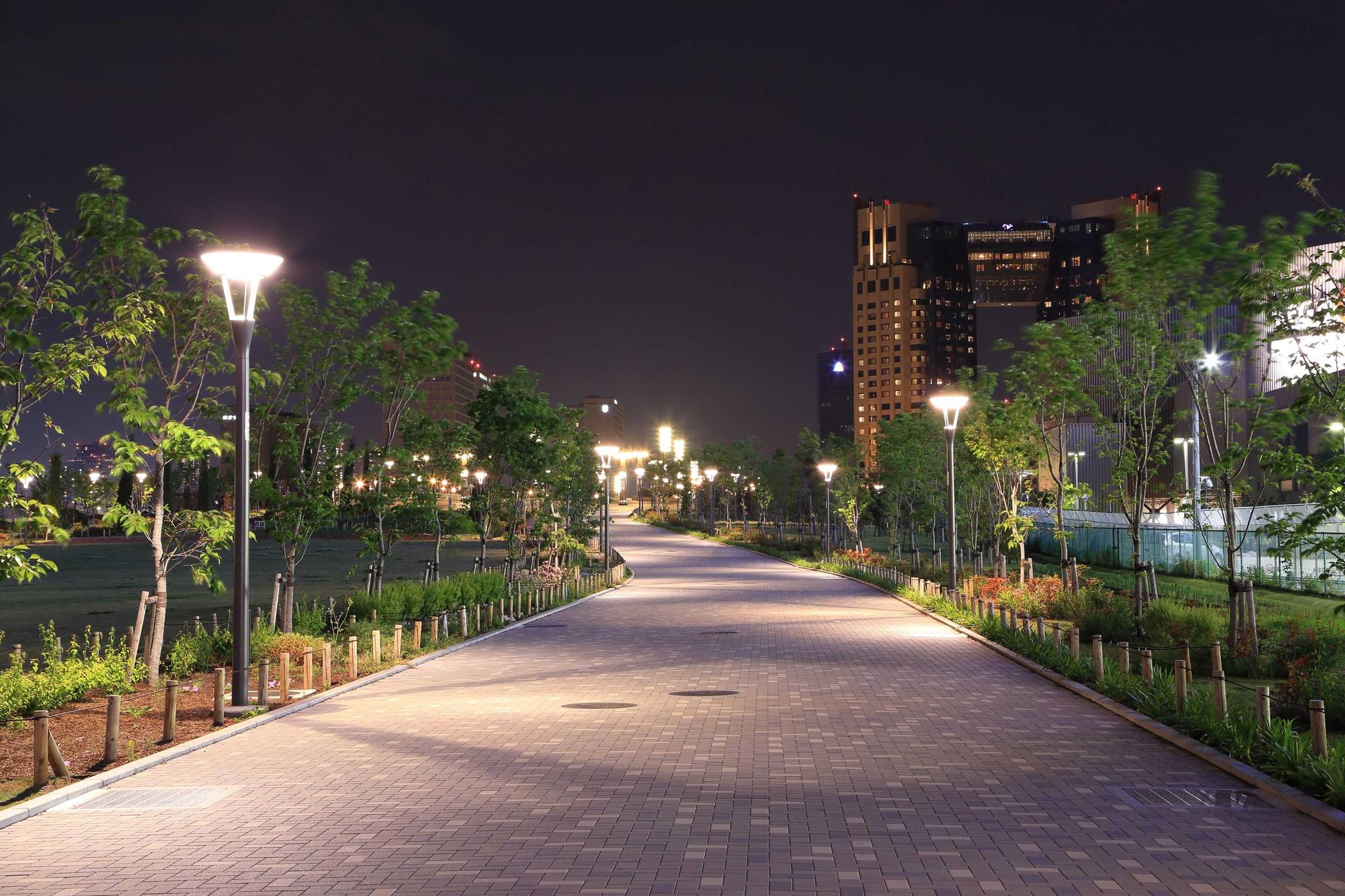 City park path at night